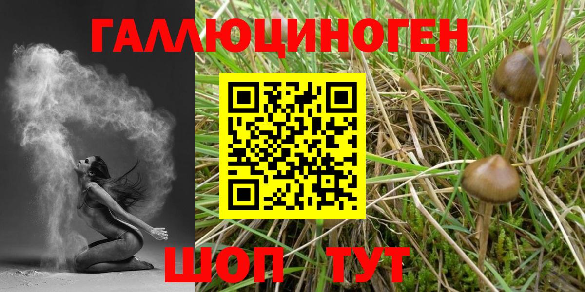 Псилоцибиновые грибы мицелий  где купить наркотик  Ялуторовск  Вход с VPN  Псилоцибиновые грибы Psilocybine cubensis 